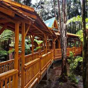 Laukapu Forest , Volcano United States